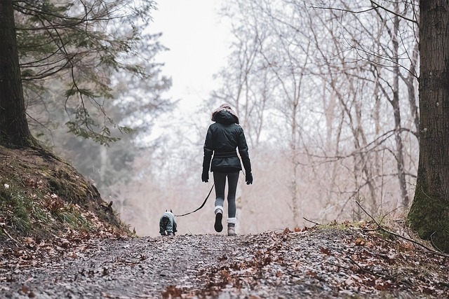 Hands-Free Dog Leashes: The Top 3 Trainer-Approved Picks
