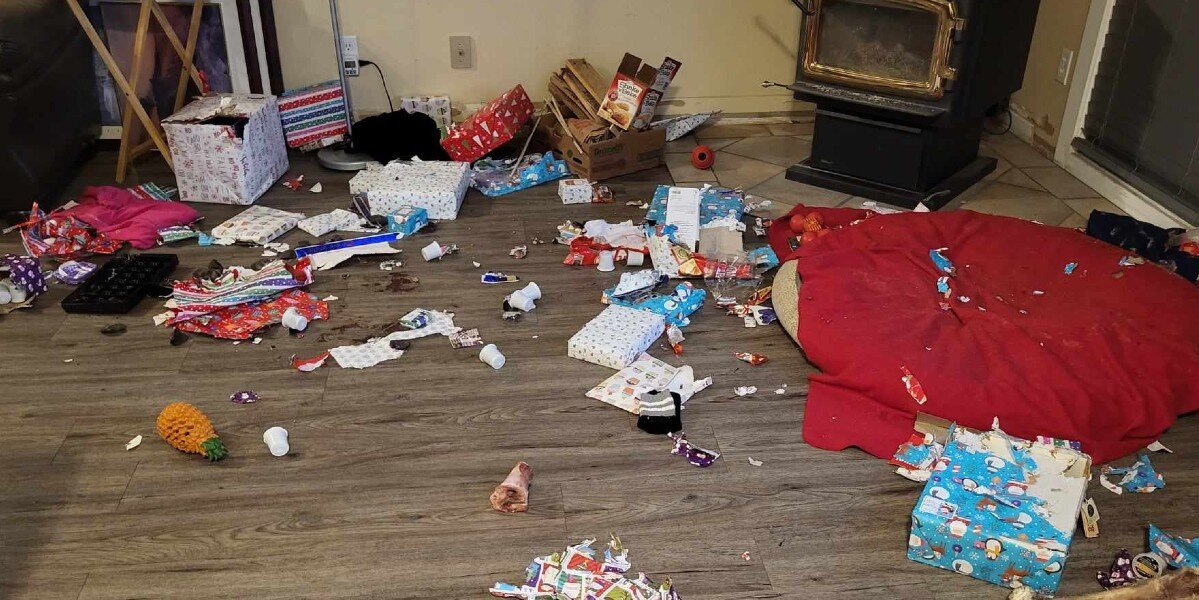 Family Comes Home to Find Every Christmas Gift “Opened” — and the Dog Is Very Proud