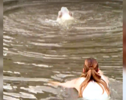 When A Dog Fell Into A Canal, This Hairstylist Didn’t Think Twice — She Jumped In After Her