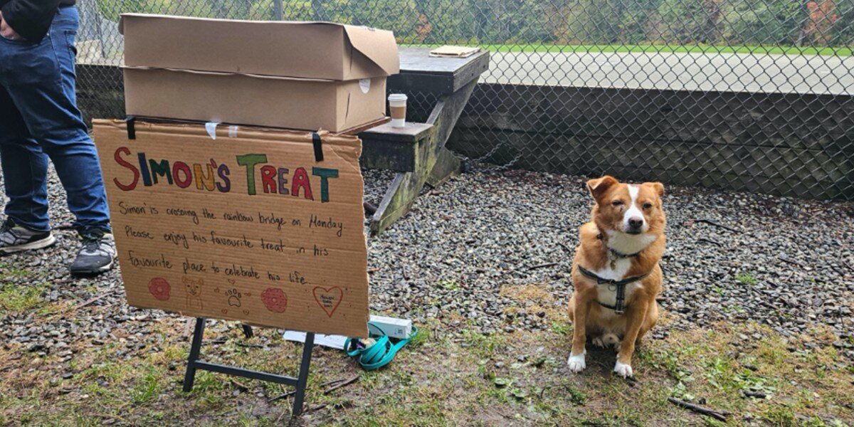 Before Saying Goodbye, This Dog Shared His Favorite Donuts With Every Friend He Loved