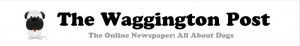 Online Dog Newspaper