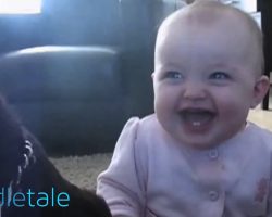Baby Girl Laughs Hysterically at Dog Eating Popcorn