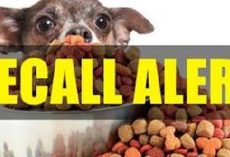 [RECALL ALERT] Pro-Pet LLC Dog and Cat Foods Recalled for Salmonella