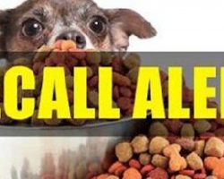 [RECALL ALERT] Pro-Pet LLC Dog and Cat Foods Recalled for Salmonella