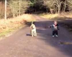 A Kid, A Dog, And A Puddle