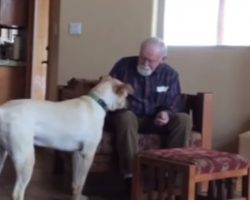 This Old Man Had Alzheimers. This Is What Happened When His Daughter Visited Her Father With Her Dog.