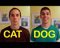 What If Your Friends Acted Like Your Pets?