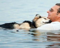 OMG, Schoep’s Story Is A Tearjerker! This Is What Love And Trust Truly Is..