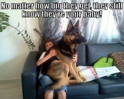 Hilarious Dog Owner Struggles!! Can You Relate? LOL