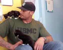 When These Giant Men Meet Kittens, It’s PURFECT!