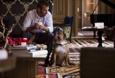 Want To Travel With Dogs? Here Are 9 Super Pet-Friendly Hotel Chains