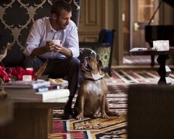 Want To Travel With Dogs? Here Are 9 Super Pet-Friendly Hotel Chains