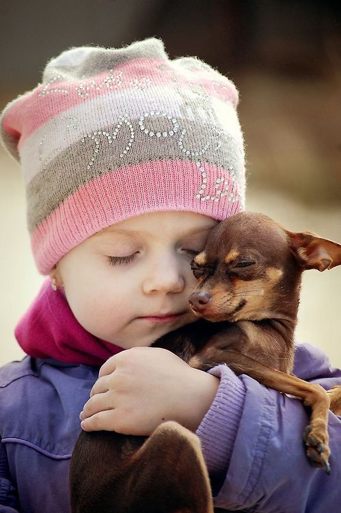 Chihuahua and child