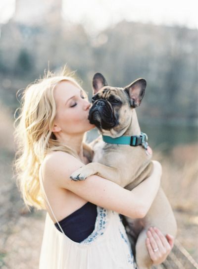 French Bulldogs love