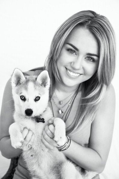 Miley Cyrus and Siberian Husky