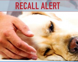 BREAKING NEWS: New Pet Food Recall Due to Salmonella and Listeria Risks