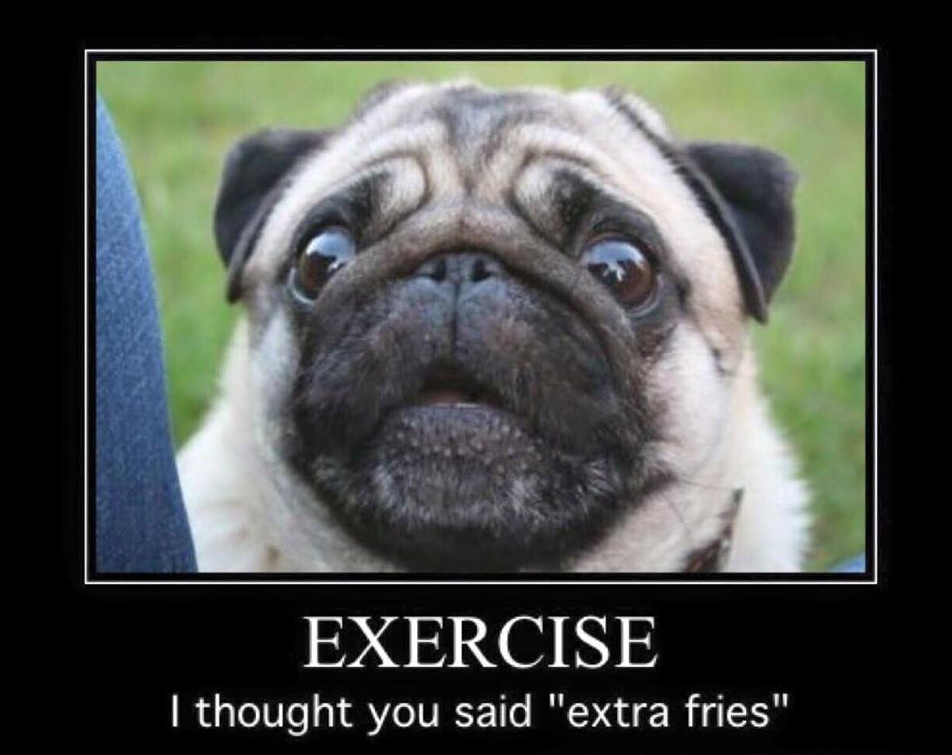 exercise