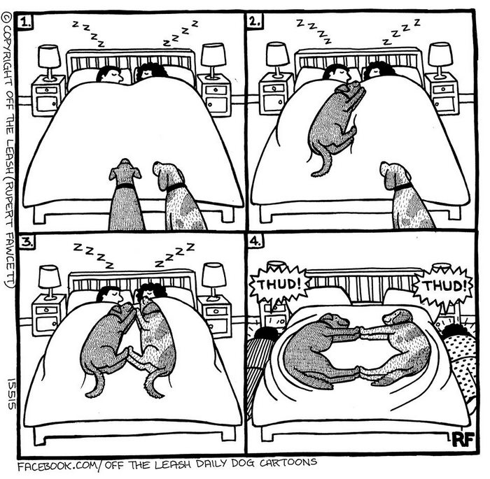 Funny Dog Cartoons