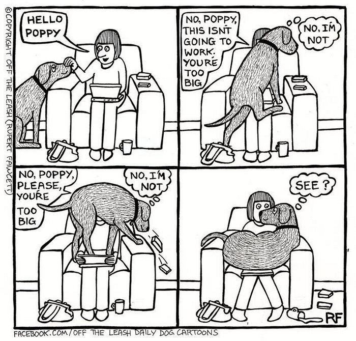 Funny Dog Cartoons