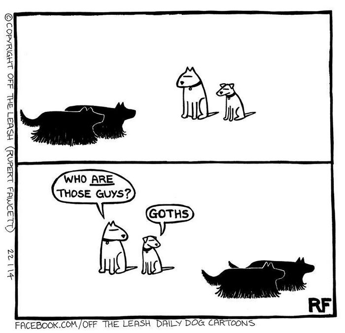 Funny Dog Cartoons