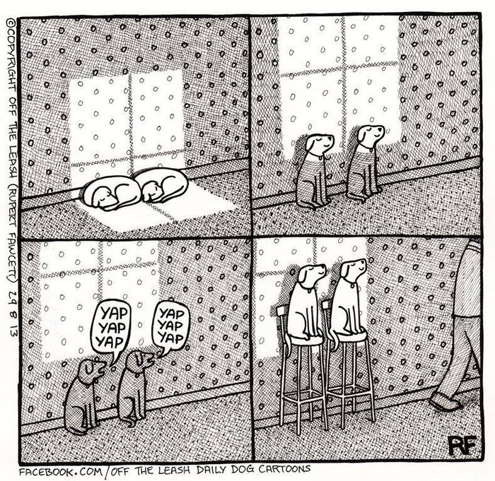 Funny Dog Cartoons