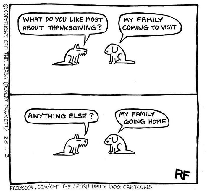 Funny Dog Cartoons