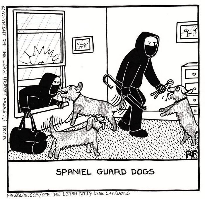 Funny Dog Cartoons