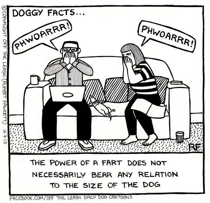 Funny Dog Cartoons