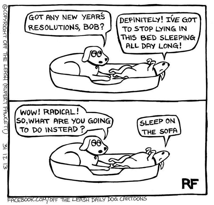 Funny Dog Cartoons