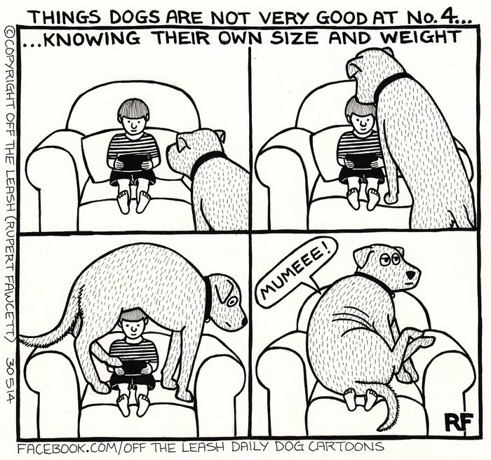 Funny Dog Cartoons