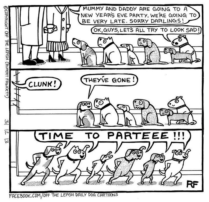 Funny Dog Cartoons