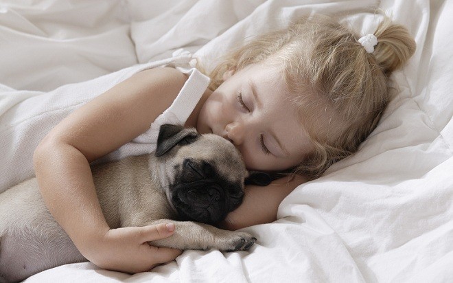 pug and child