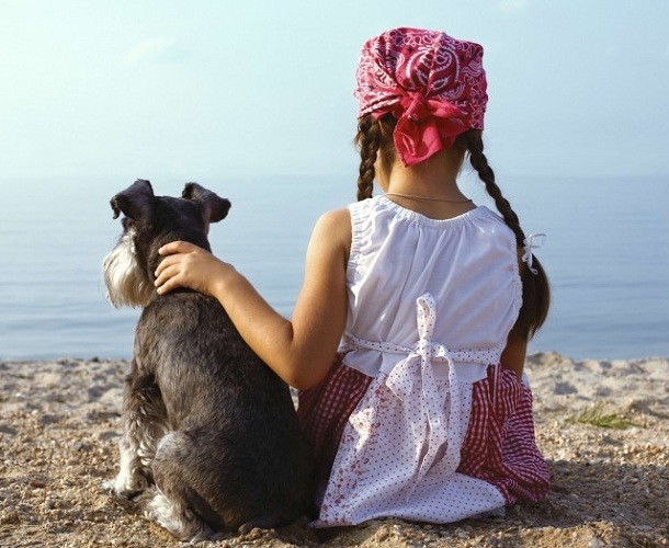 Schnauzer and baby