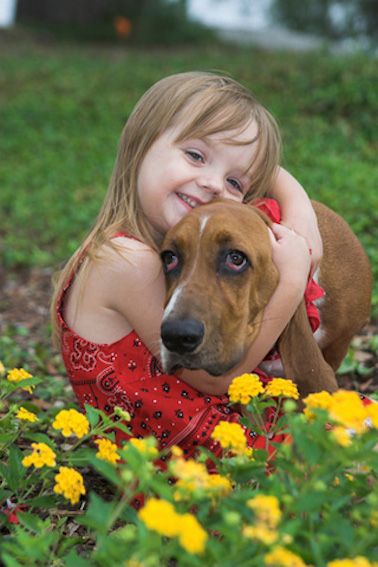 basset hound best friend