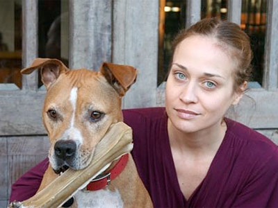 Fiona Apple pit bull