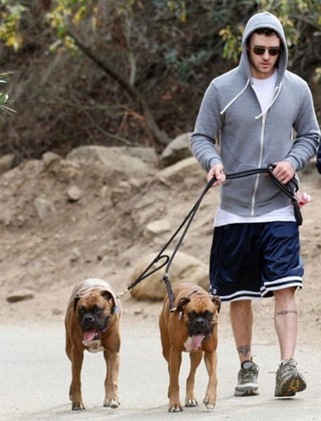 Justin Timberlake with boxers