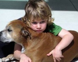 Little boy finds out his dog needs to be put down — his reaction stuns everyone