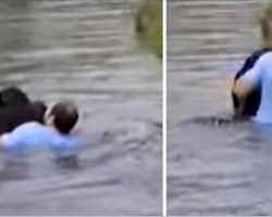 Zoo Staff Refuse To Save Drowning Chimp, Suddenly Man Jumps Into Enclosure