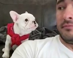 [Video] He Tells The Puppy How Handsome He Looks. The Pup’s Reaction? OMG!