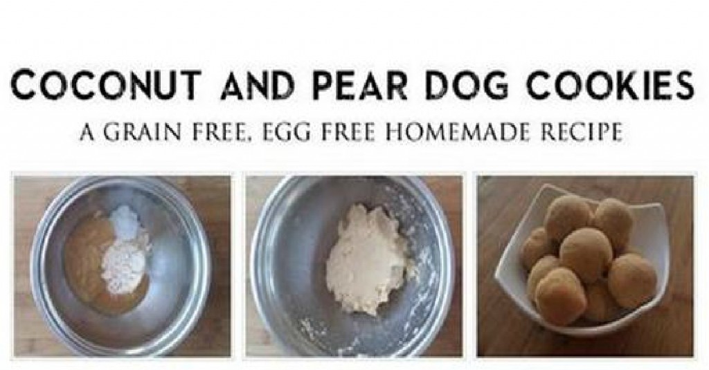 coconut and pear dog cookie recipe
