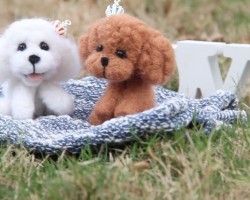 [DIY] How To Make A Poodle Puppy Plushie! Fun & Easy To Make. No Sewing Required.