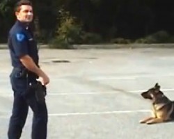 Everyone Is Surprised When He Does THIS To His Police Dog… WOW!