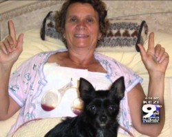 Dog Detected Mom’s Breast Cancer First And Saved Her Life! INCREDIBLE!