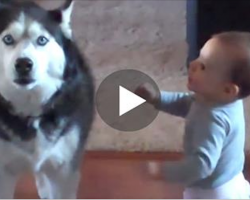 Mom Caught Her Baby Talking To The Dog. Their Conversation? Unbelievable.