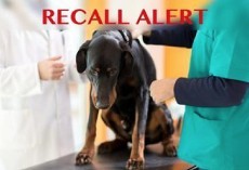 BREAKING NEWS: Leading Brand Issues Pet Food Recall
