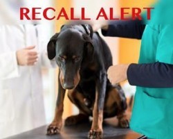 BREAKING NEWS: Leading Brand Issues Pet Food Recall