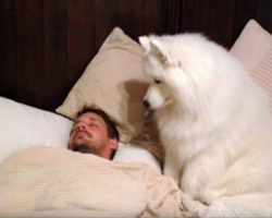 Dog needs a walk and Dad’s still asleep. Dog wakes him up in hilarious fashion