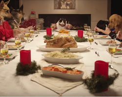 Pets Gather Around The Table To Celebrate Christmas With A Holiday Feast