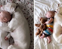 Traumatized dog is terrified of humans except for this baby, so Mom grabs her camera