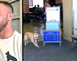 Nervous Soldier Waits To Reunite With Military Dog, Then Turns Around To Find Her Running To Him